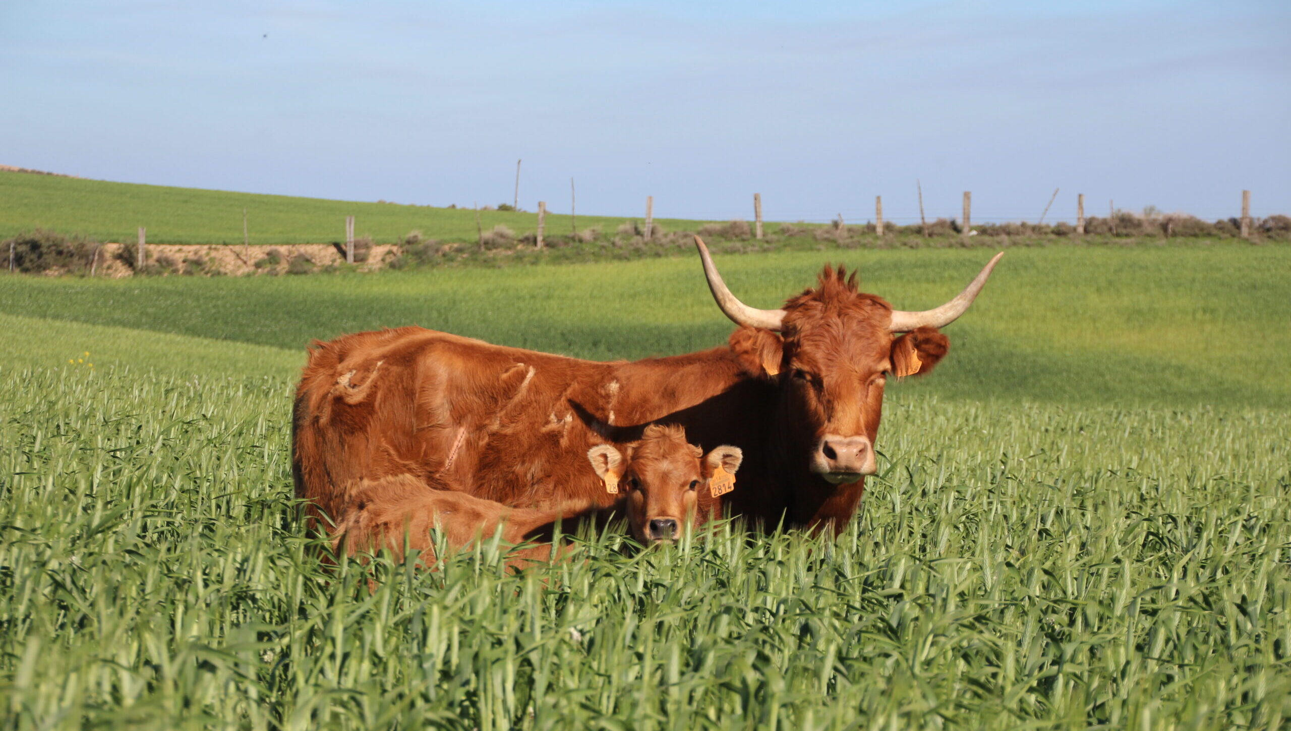 IMG_0092.jpg